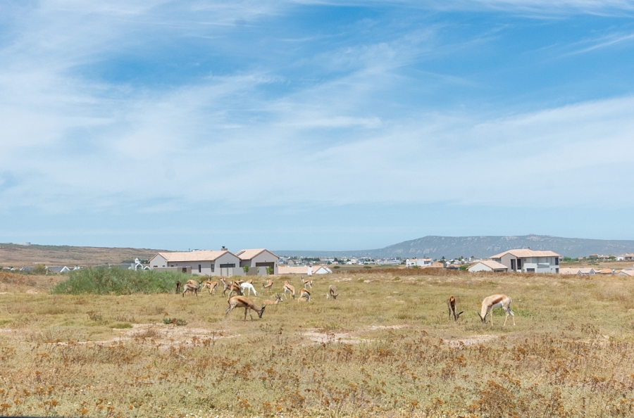 0 Bedroom Property for Sale in Langebaan Country Estate Western Cape